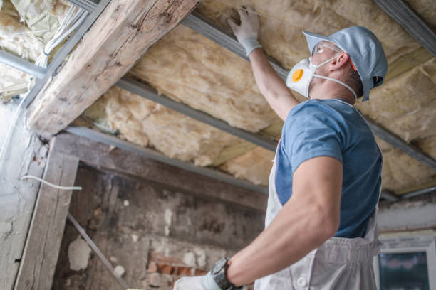 Best Best Insulation Companies  in Parma, ID