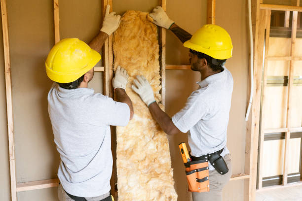 Best Insulation Removal  in Parma, ID